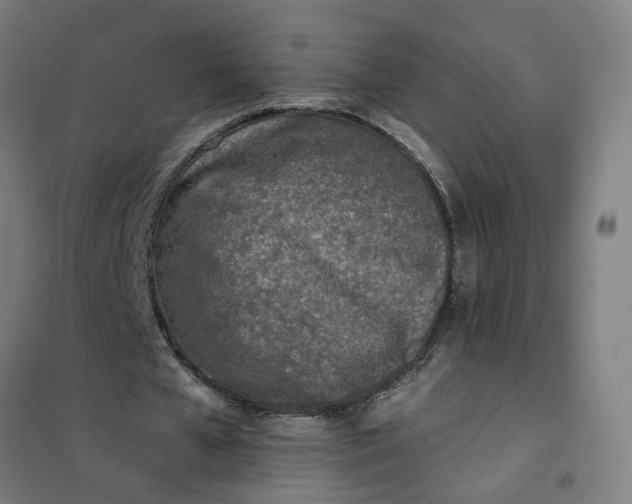 X0000101700577200807241435