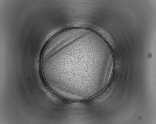 X0000101700578200807241435