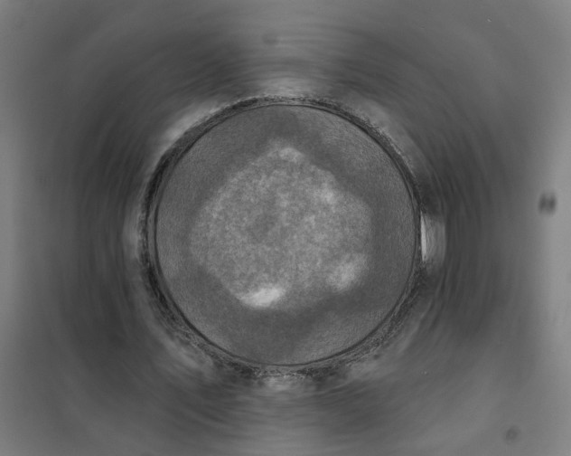 X0000101700579200807241435