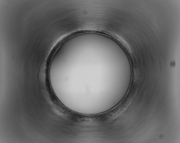 X0000101700580200807241435