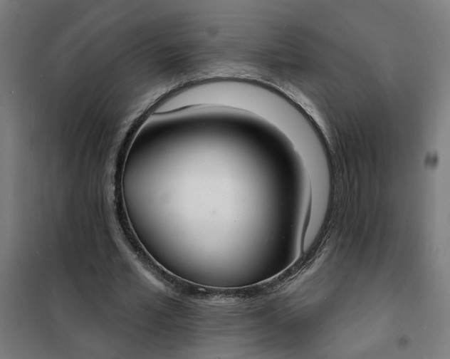 X0000101700581200807241434