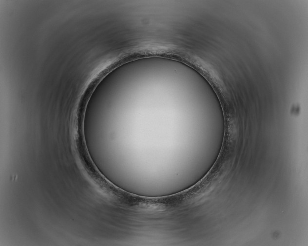 X0000101700582200807241434