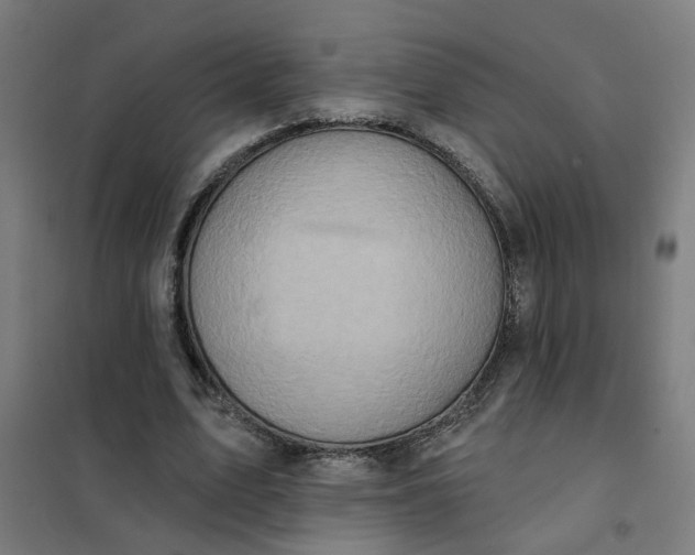 X0000101700583200807241434