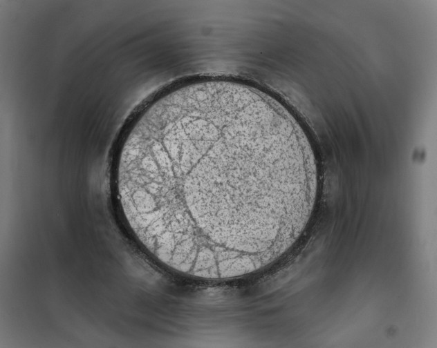 X0000101700584200807241434