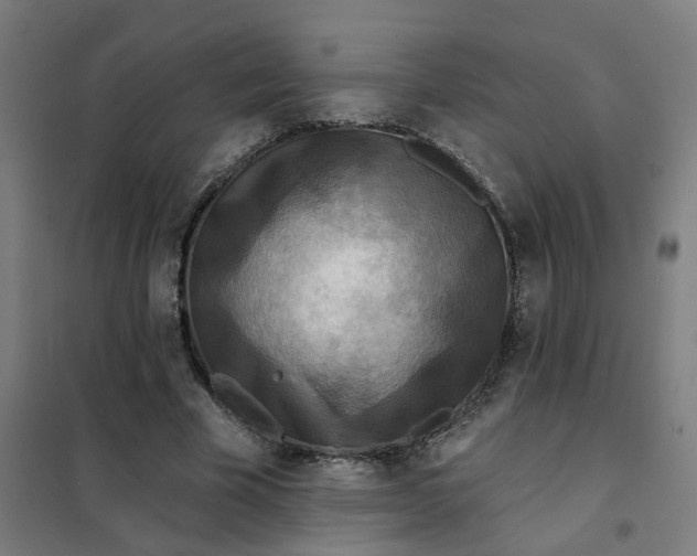 X0000101700585200807241434