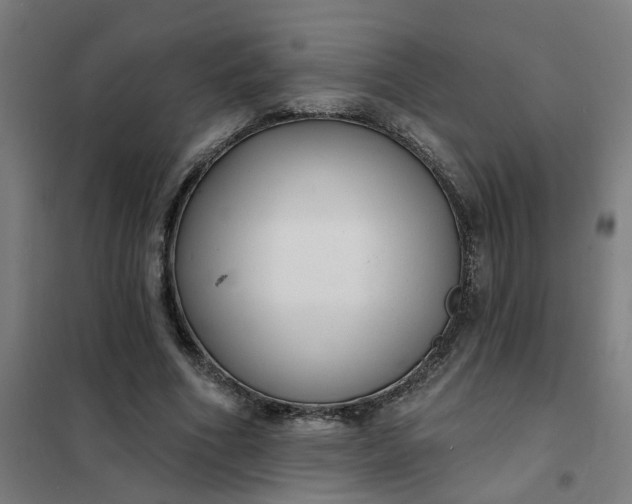 X0000101700586200807241434