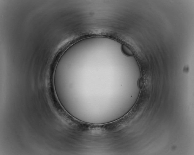 X0000101700587200807241434