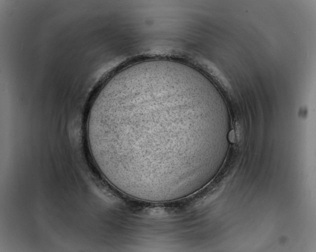 X0000101700588200807241434