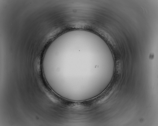 X0000101700589200807241434