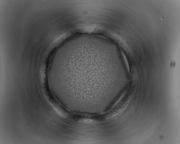 X0000101700590200807241434