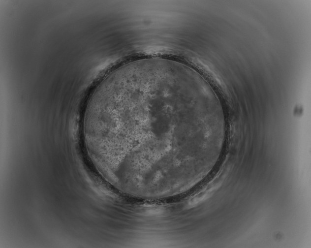 X0000101700592200807241434