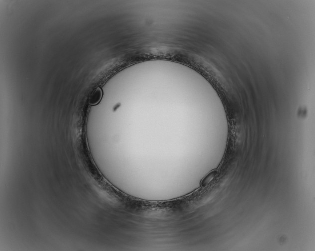 X0000101700593200807241434