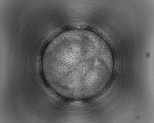 X0000101700594200807241434