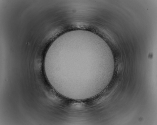 X0000101700595200807241434