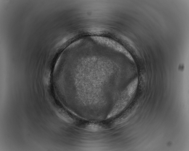 X0000101700596200807241434