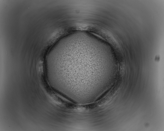 X0000101700598200807241434