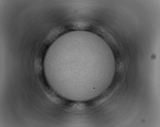 X0000101700599200807241434