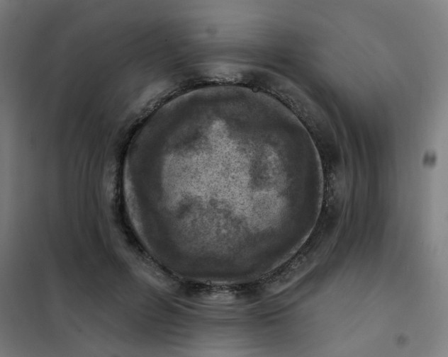 X0000101700600200807241434