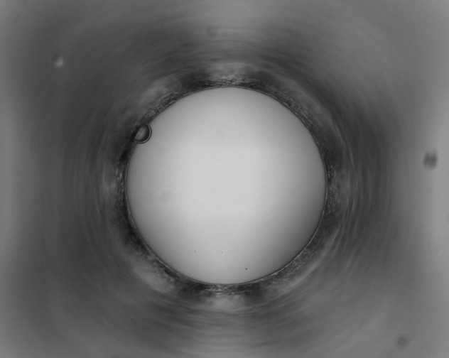 X0000101700601200807241434