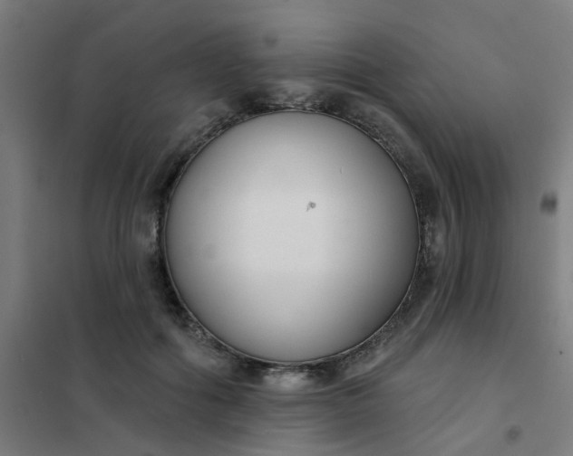 X0000101700602200807241434