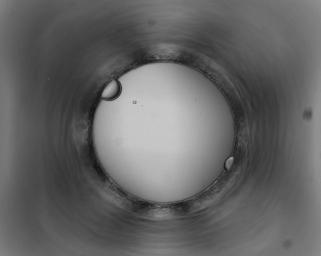 X0000101700604200807241434