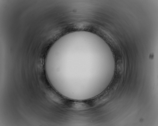 X0000101700605200807241434