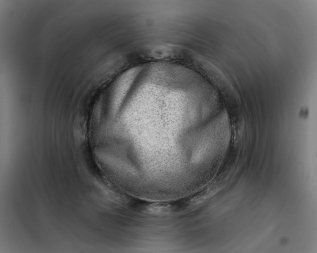 X0000101700606200807241434