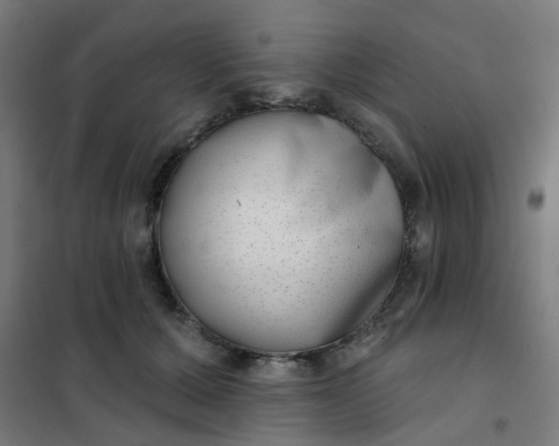 X0000101700607200807241434