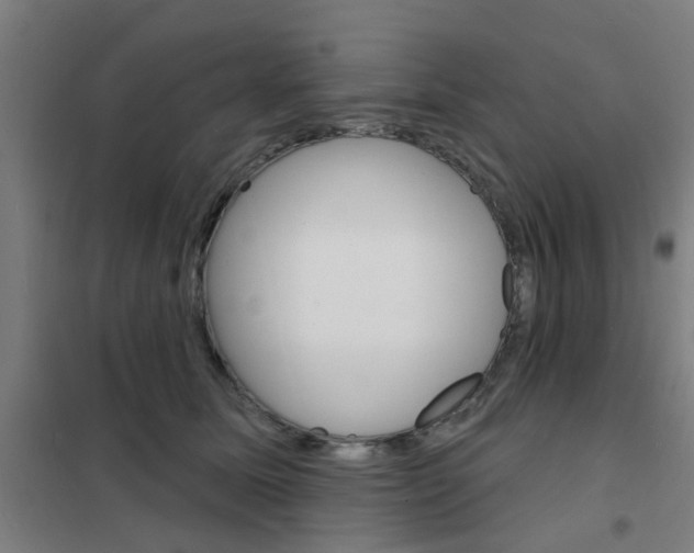 X0000101700611200807241434