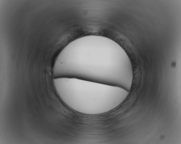 X0000101700612200807241434