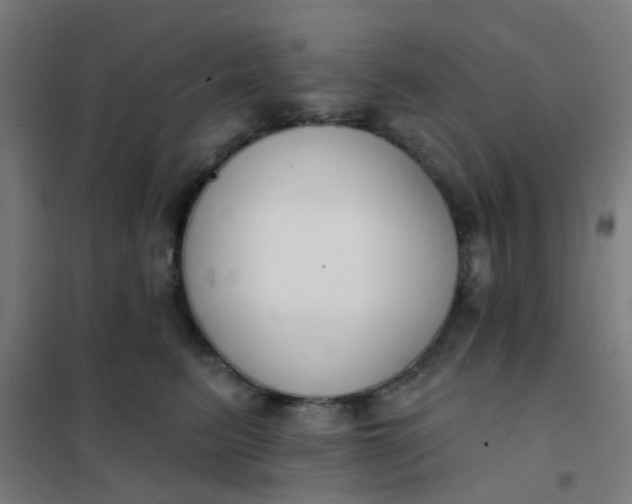 X0000101700615200807241434