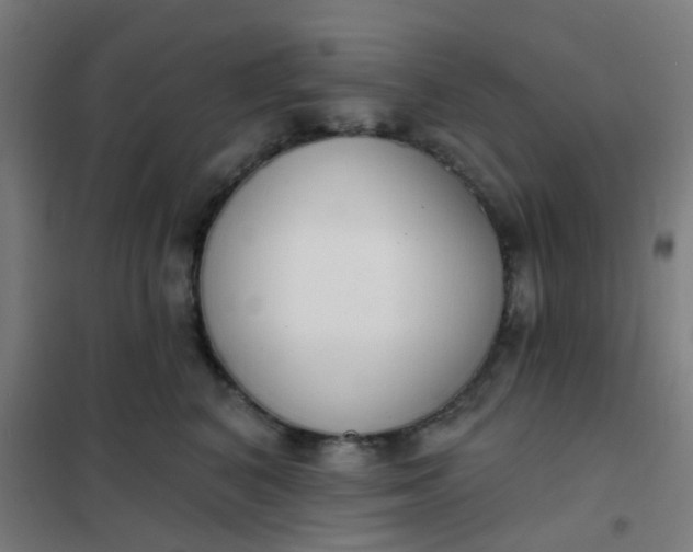 X0000101700616200807241434