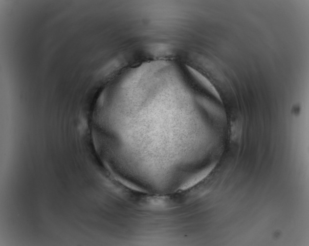 X0000101700618200807241434