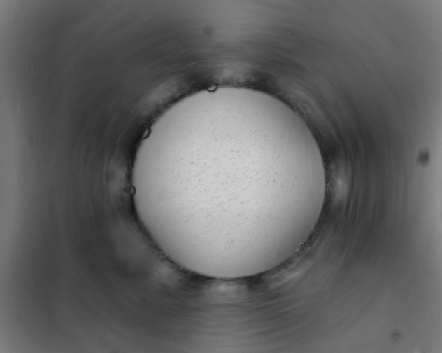 X0000101700619200807241434