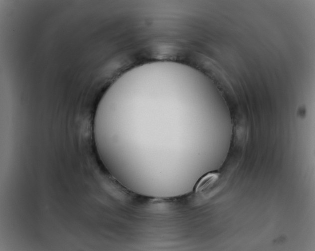 X0000101700620200807241434