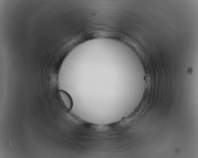 X0000101700621200807241434