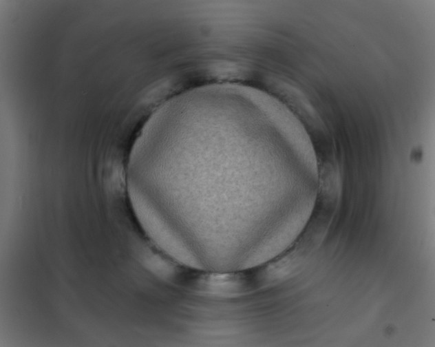 X0000101700622200807241434