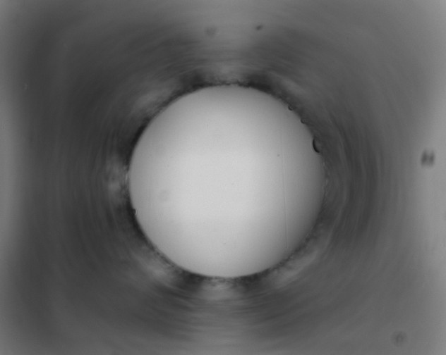 X0000101700624200807241434