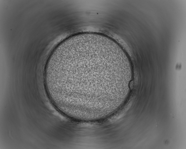 X0000101700625200807241433