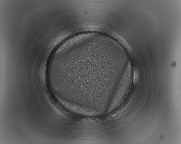 X0000101700627200807241433