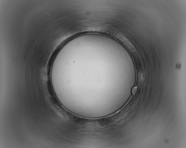 X0000101700628200807241433