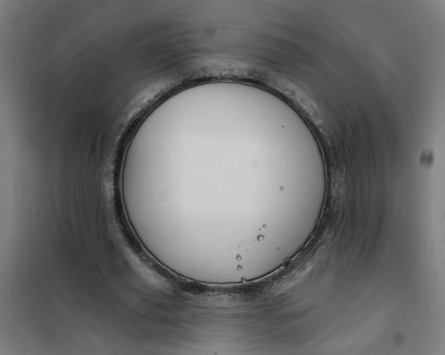 X0000101700629200807241433