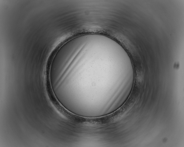 X0000101700630200807241433