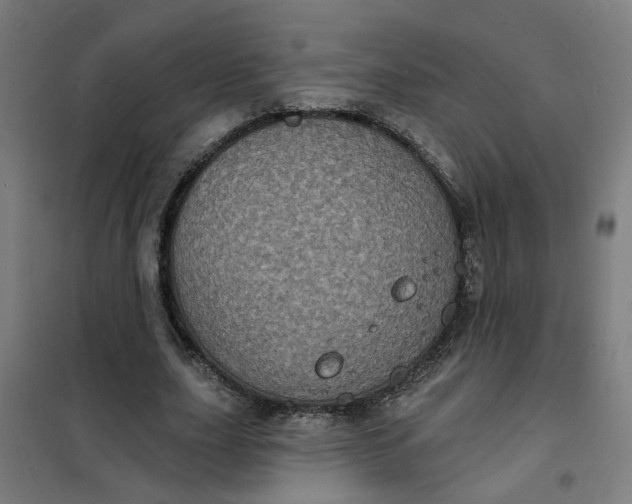 X0000101700631200807241433