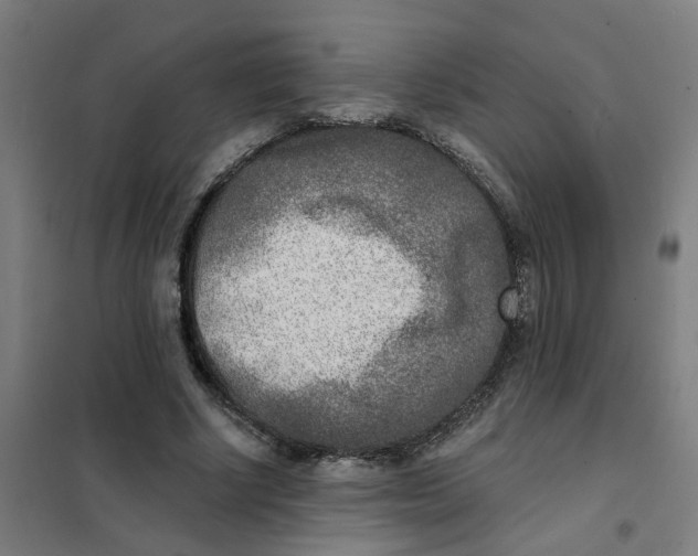 X0000101700634200807241433