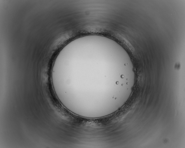 X0000101700635200807241433