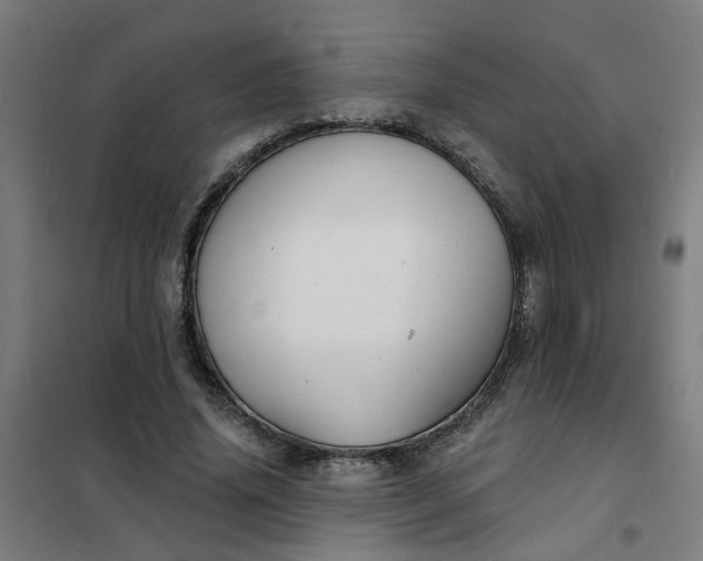 X0000101700636200807241433