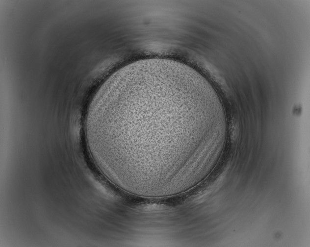 X0000101700637200807241433