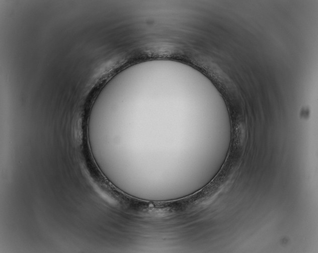 X0000101700638200807241433