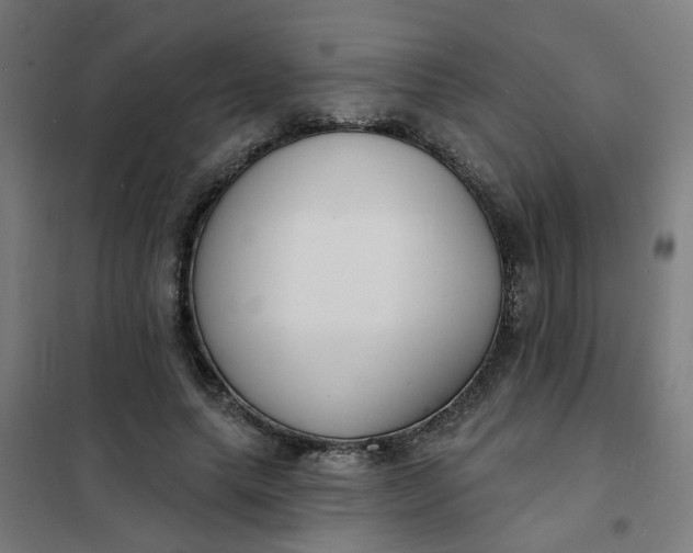 X0000101700639200807241433